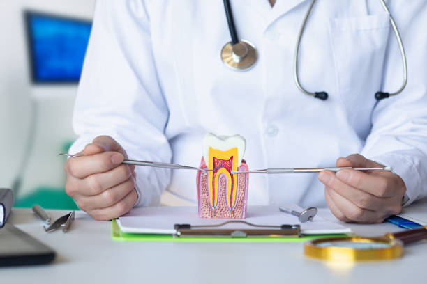 Best Emergency Treatment for Toothache in Snyderville, UT